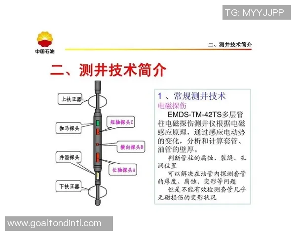 西安网球队在挑战赛中的速度表现分析与点评
