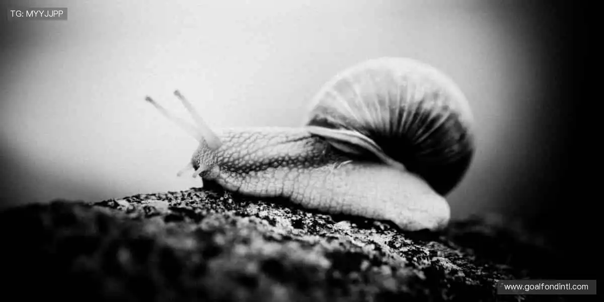 热血周边，点燃你的热爱！💥